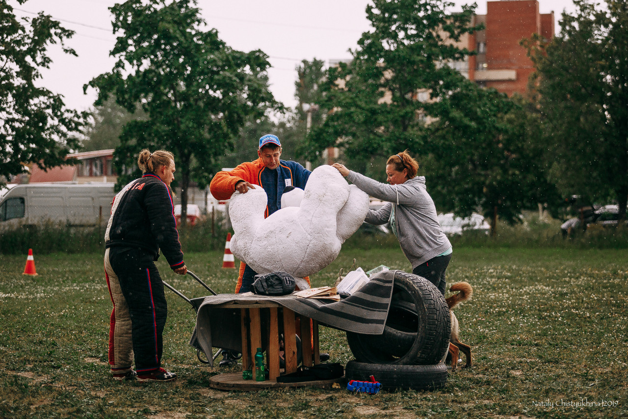 Соревнования по мондьорингу. Фотограф-анималист Наталия Чистюхина в г. Сосновый Бор и ЛО