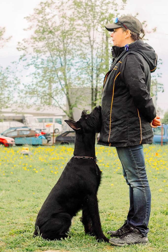 Семинары по мондио. Фотограф-анималист Наталия Чистюхина в г. Сосновый Бор и ЛО