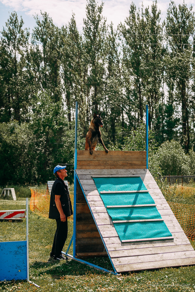 Соревнования по мондьорингу. Фотограф-анималист Наталия Чистюхина в г. Сосновый Бор и ЛО