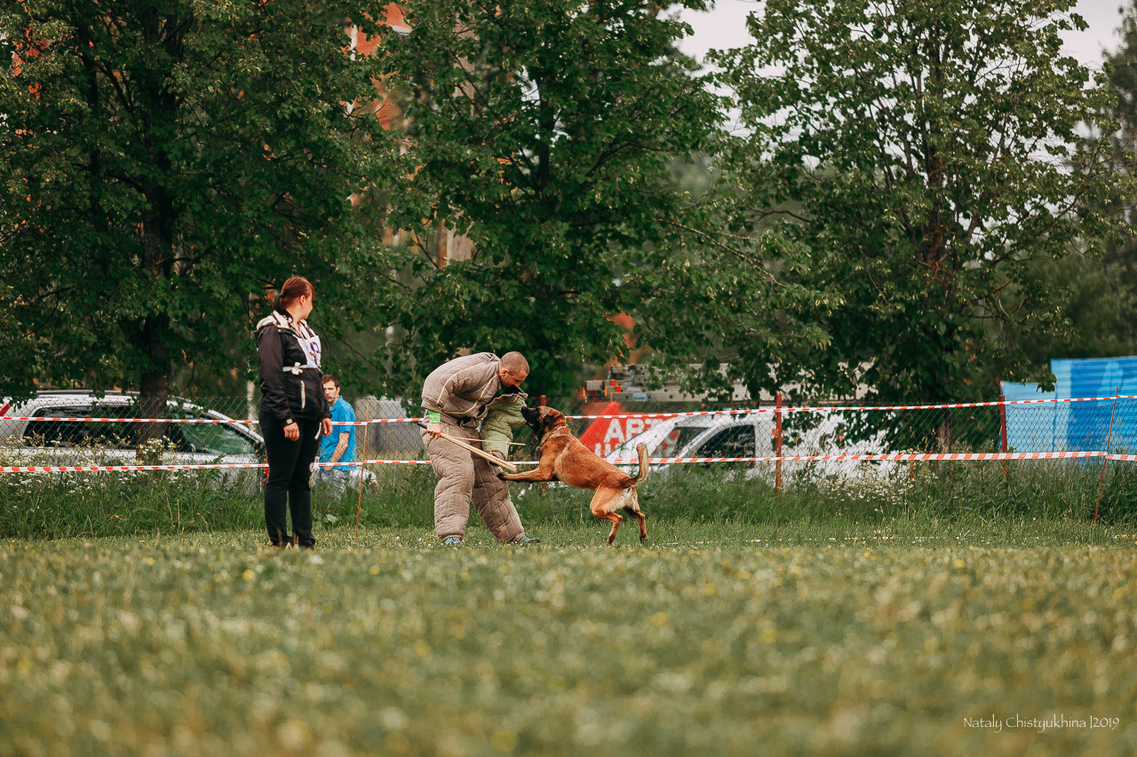Соревнования БРР. Фотограф-анималист Наталия Чистюхина в г. Сосновый Бор и ЛО