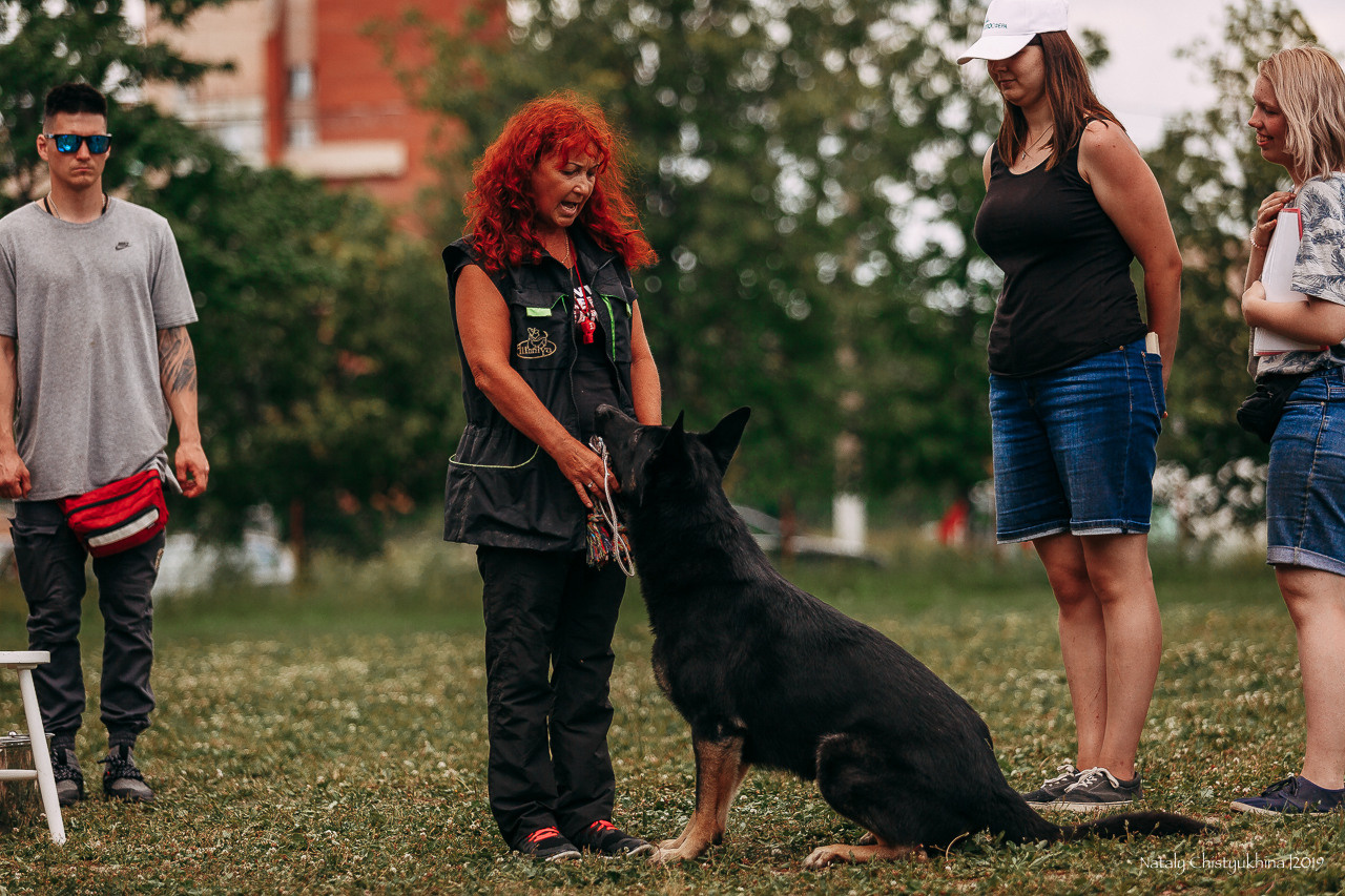 Соревнования по мондьорингу. Фотограф-анималист Наталия Чистюхина в г. Сосновый Бор и ЛО