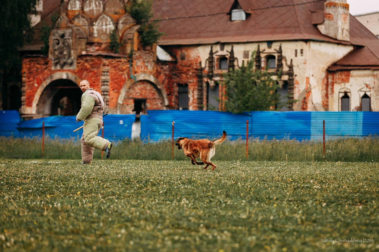 Соревнования БРР. Фотограф-анималист Наталия Чистюхина в г. Сосновый Бор и ЛО