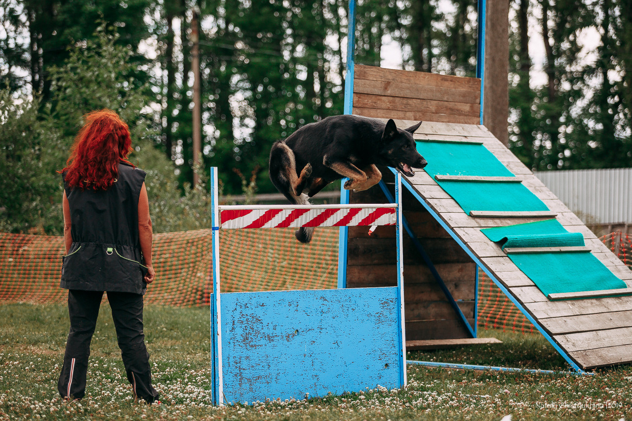 Соревнования по мондьорингу. Фотограф-анималист Наталия Чистюхина в г. Сосновый Бор и ЛО