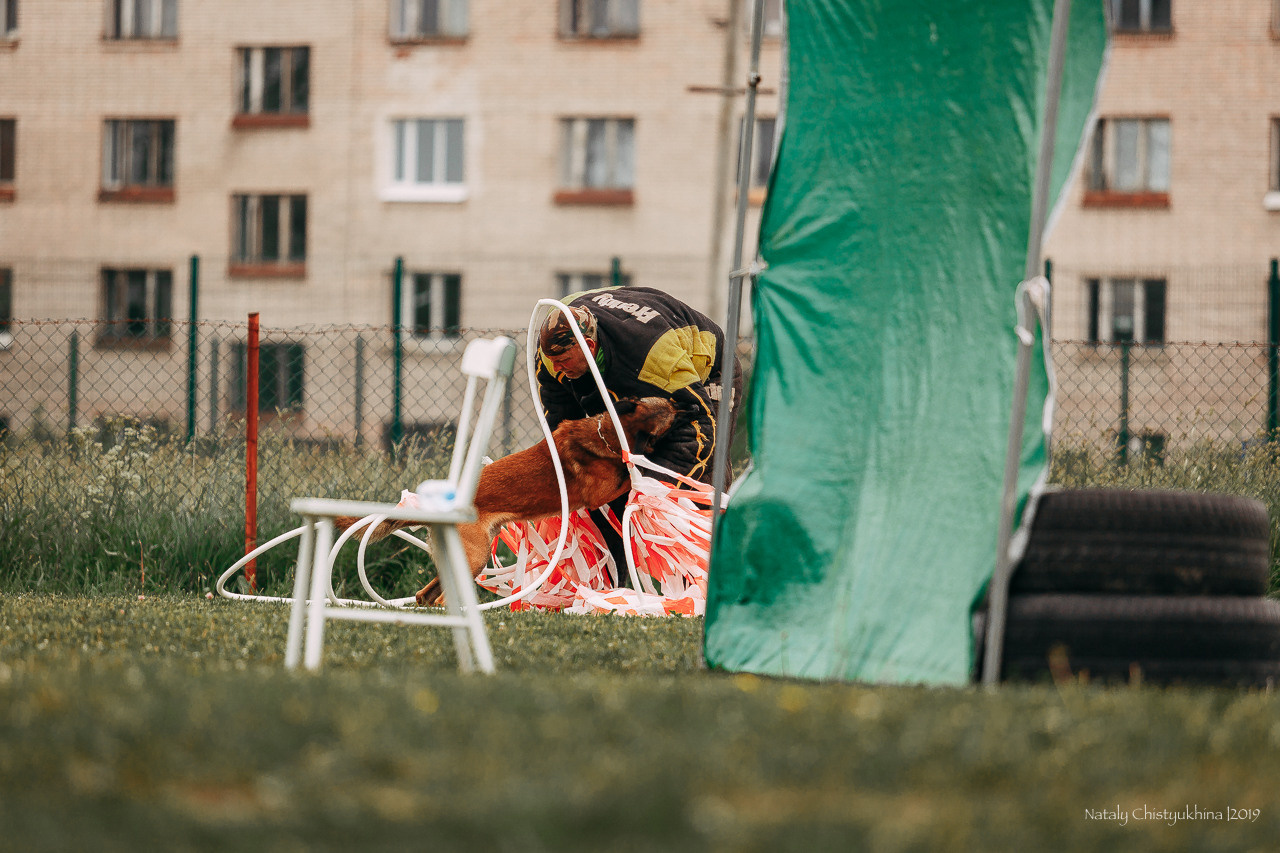 Соревнования БРР. Фотограф-анималист Наталия Чистюхина в г. Сосновый Бор и ЛО