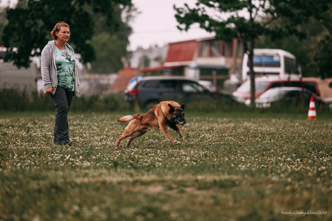 Соревнования по мондьорингу. Фотограф-анималист Наталия Чистюхина в г. Сосновый Бор и ЛО