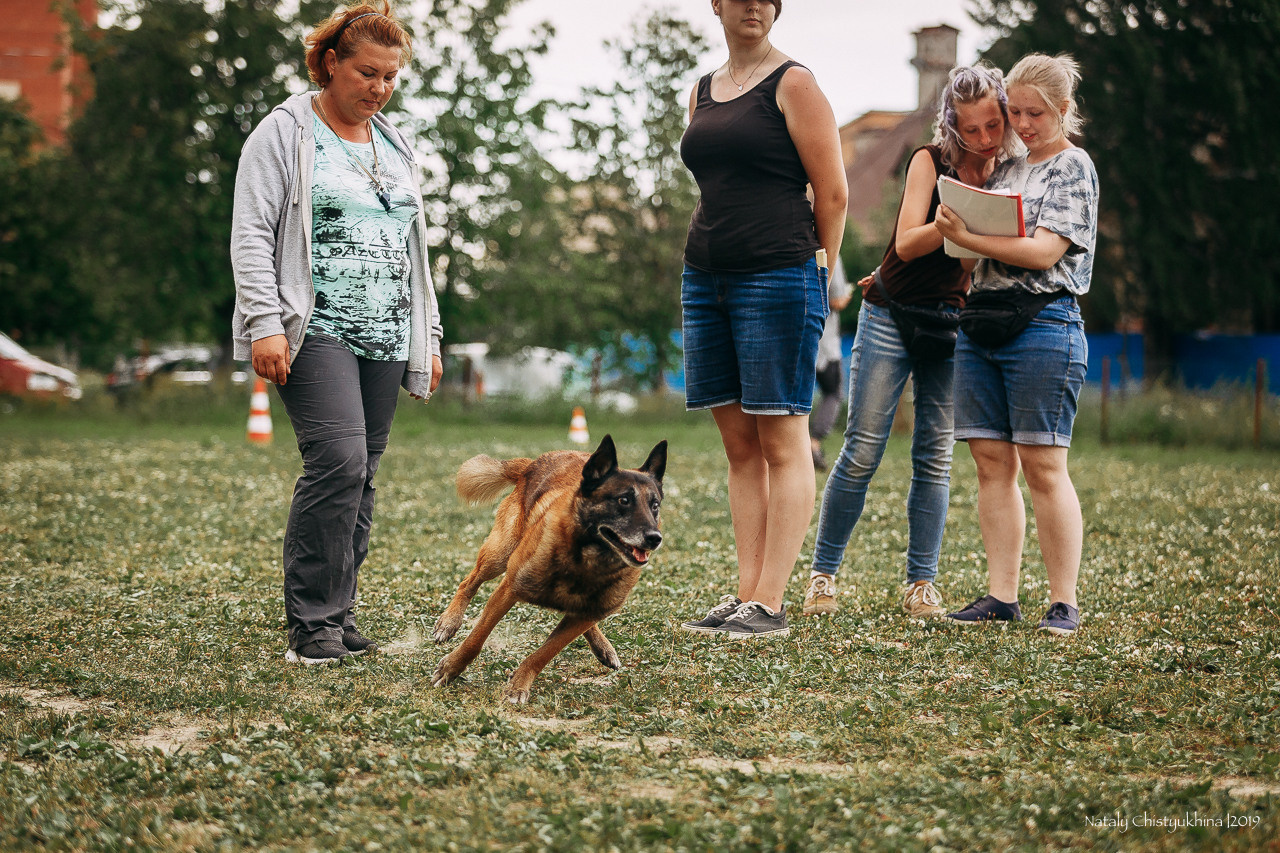 Соревнования по мондьорингу. Фотограф-анималист Наталия Чистюхина в г. Сосновый Бор и ЛО