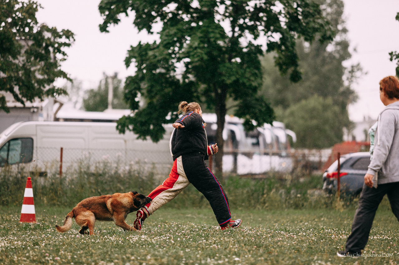 Соревнования по мондьорингу. Фотограф-анималист Наталия Чистюхина в г. Сосновый Бор и ЛО