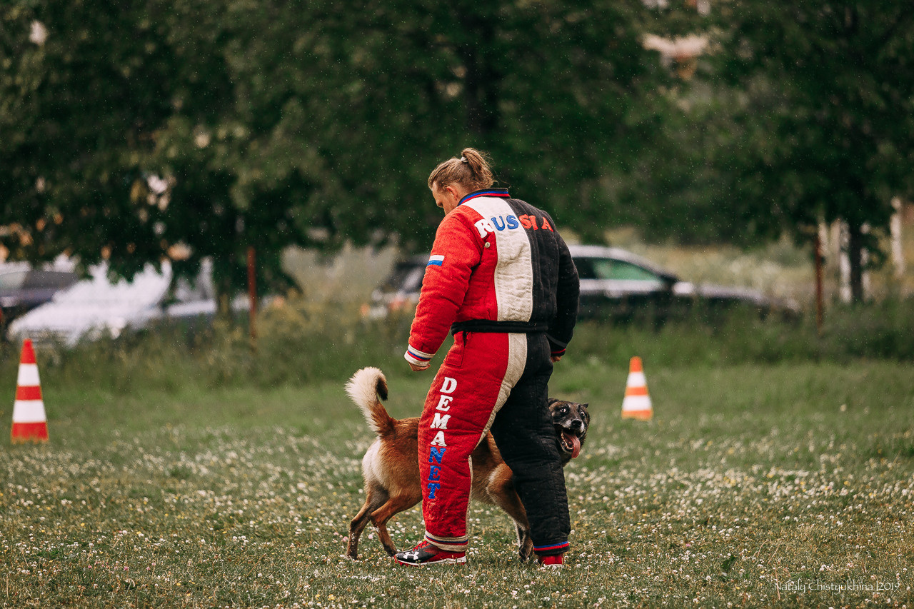 Соревнования по мондьорингу. Фотограф-анималист Наталия Чистюхина в г. Сосновый Бор и ЛО