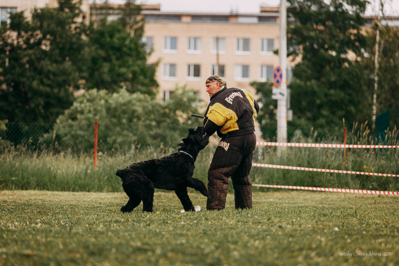 Соревнования БРР. Фотограф-анималист Наталия Чистюхина в г. Сосновый Бор и ЛО