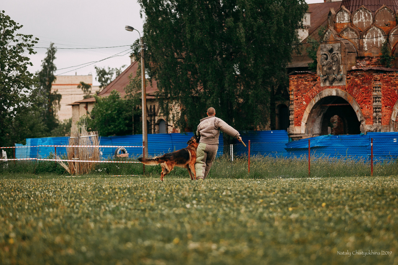 Соревнования БРР. Фотограф-анималист Наталия Чистюхина в г. Сосновый Бор и ЛО