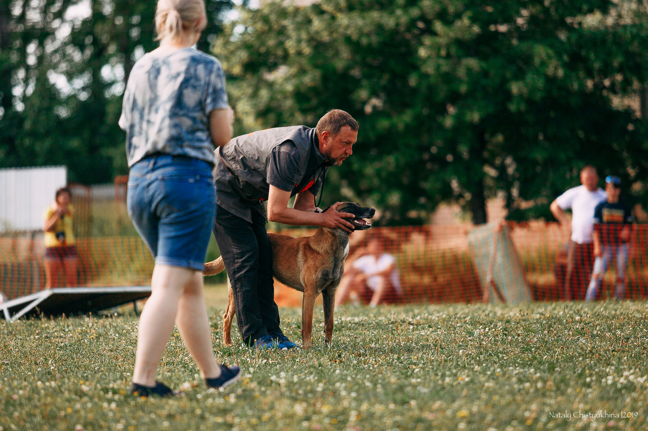 Соревнования по мондьорингу. Фотограф-анималист Наталия Чистюхина в г. Сосновый Бор и ЛО