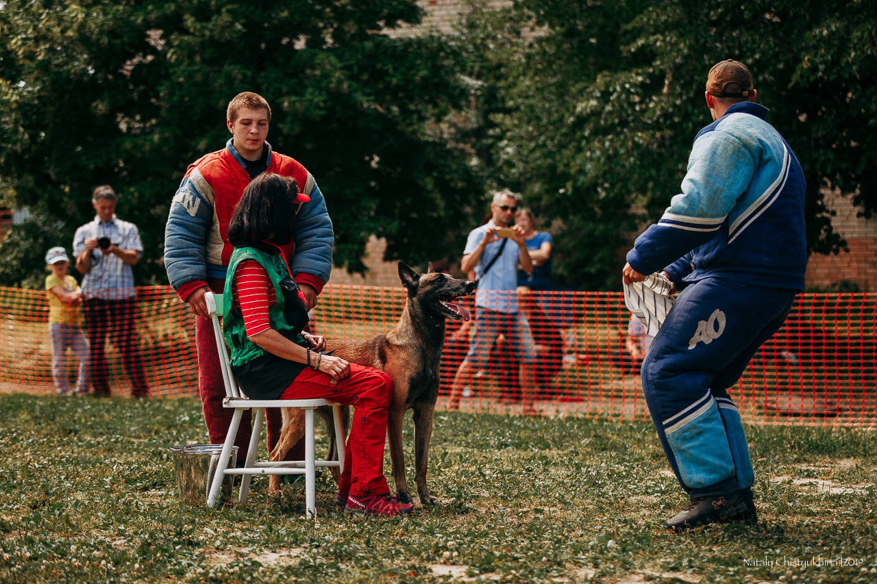 Соревнования по мондьорингу. Фотограф-анималист Наталия Чистюхина в г. Сосновый Бор и ЛО