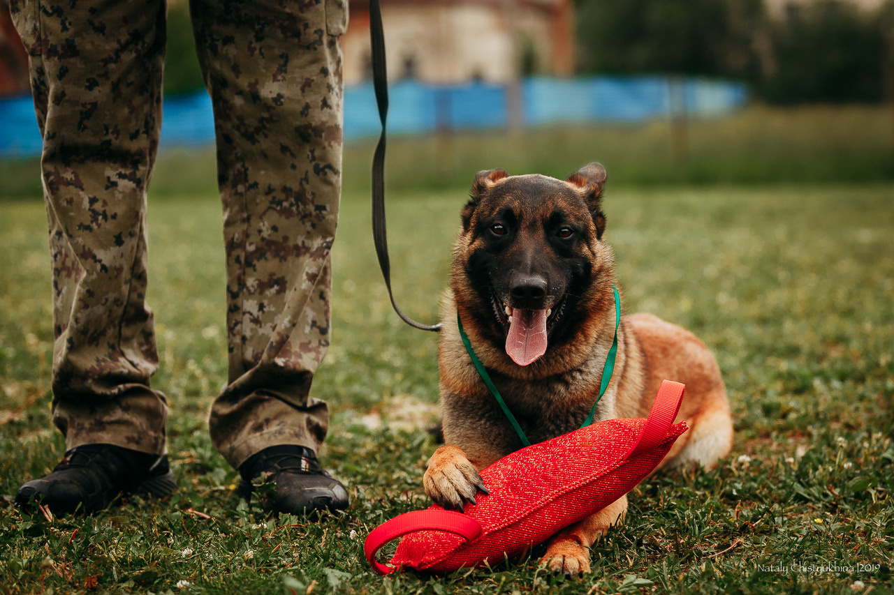Соревнования БРР. Фотограф-анималист Наталия Чистюхина в г. Сосновый Бор и ЛО