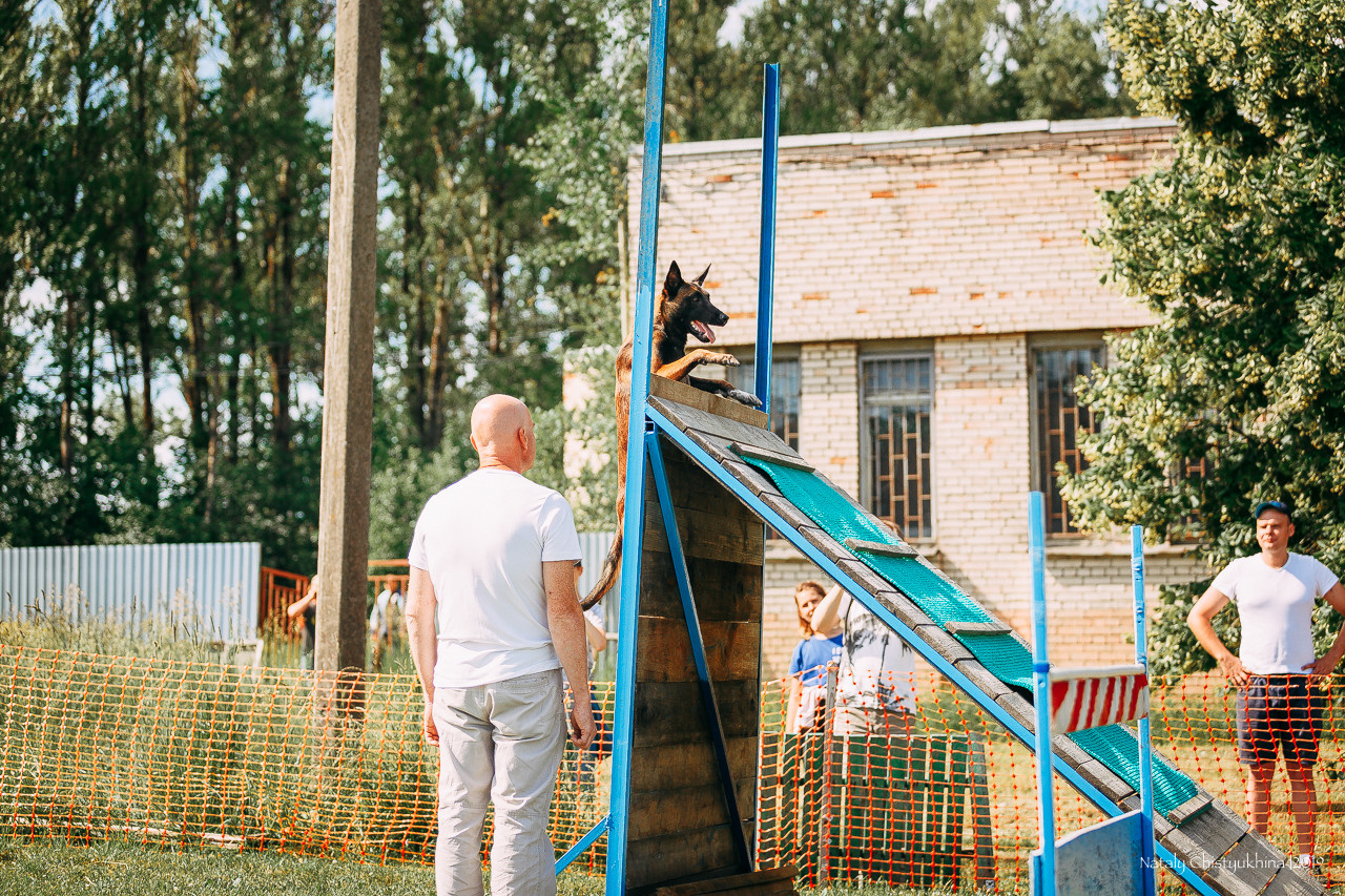 Соревнования по мондьорингу. Фотограф-анималист Наталия Чистюхина в г. Сосновый Бор и ЛО