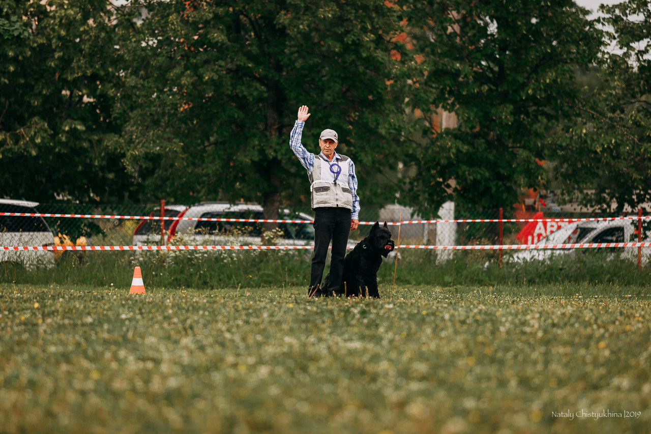 Соревнования БРР. Фотограф-анималист Наталия Чистюхина в г. Сосновый Бор и ЛО