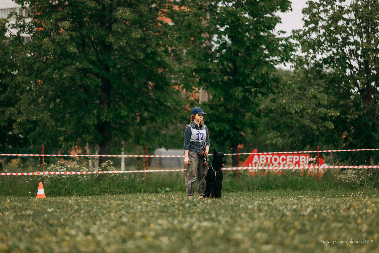 Соревнования БРР. Фотограф-анималист Наталия Чистюхина в г. Сосновый Бор и ЛО