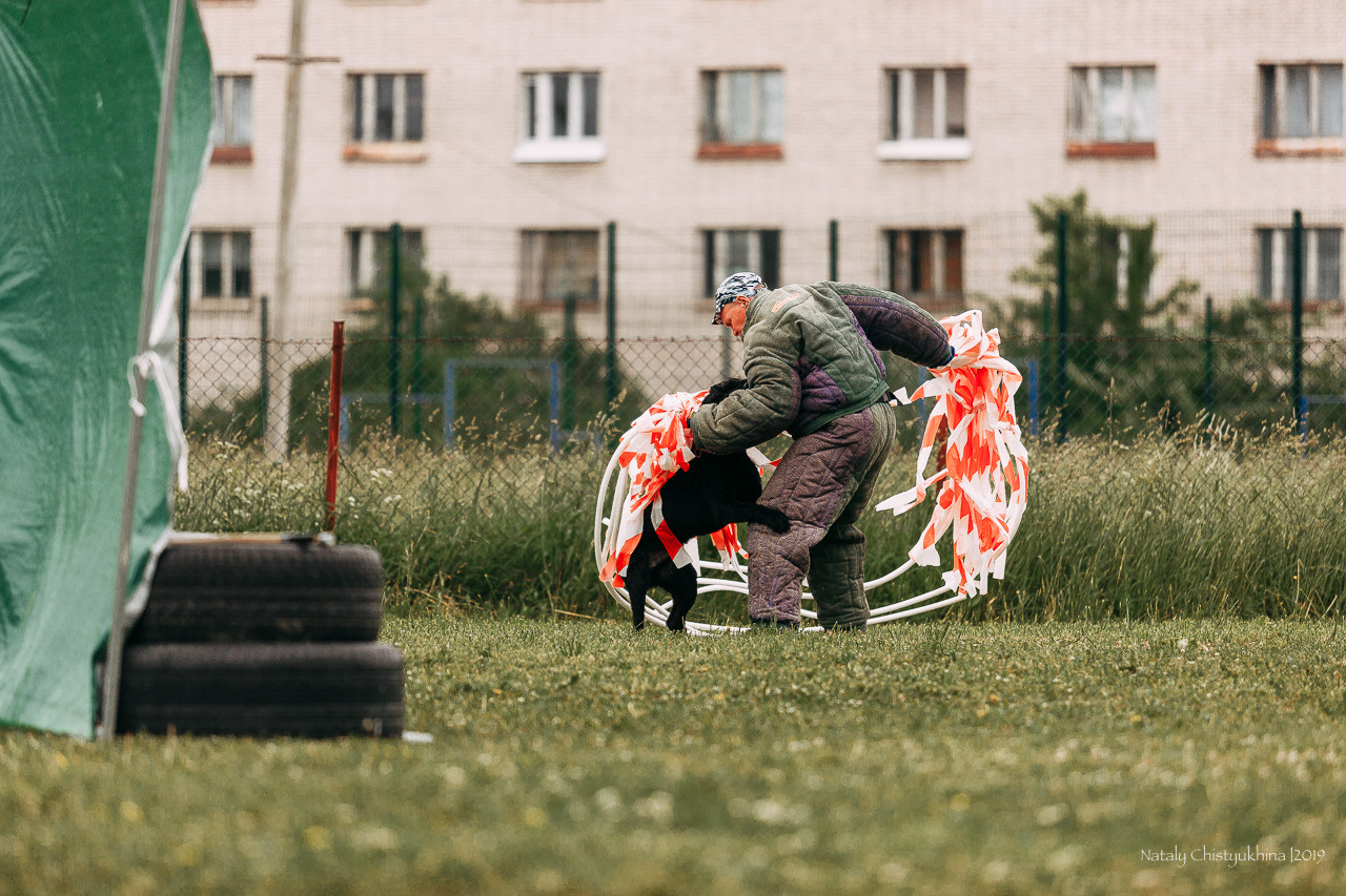 Соревнования БРР. Фотограф-анималист Наталия Чистюхина в г. Сосновый Бор и ЛО