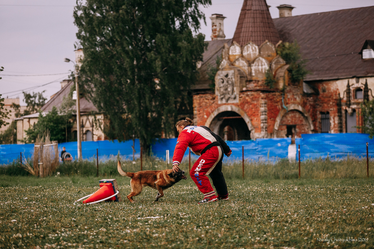 Соревнования по мондьорингу. Фотограф-анималист Наталия Чистюхина в г. Сосновый Бор и ЛО