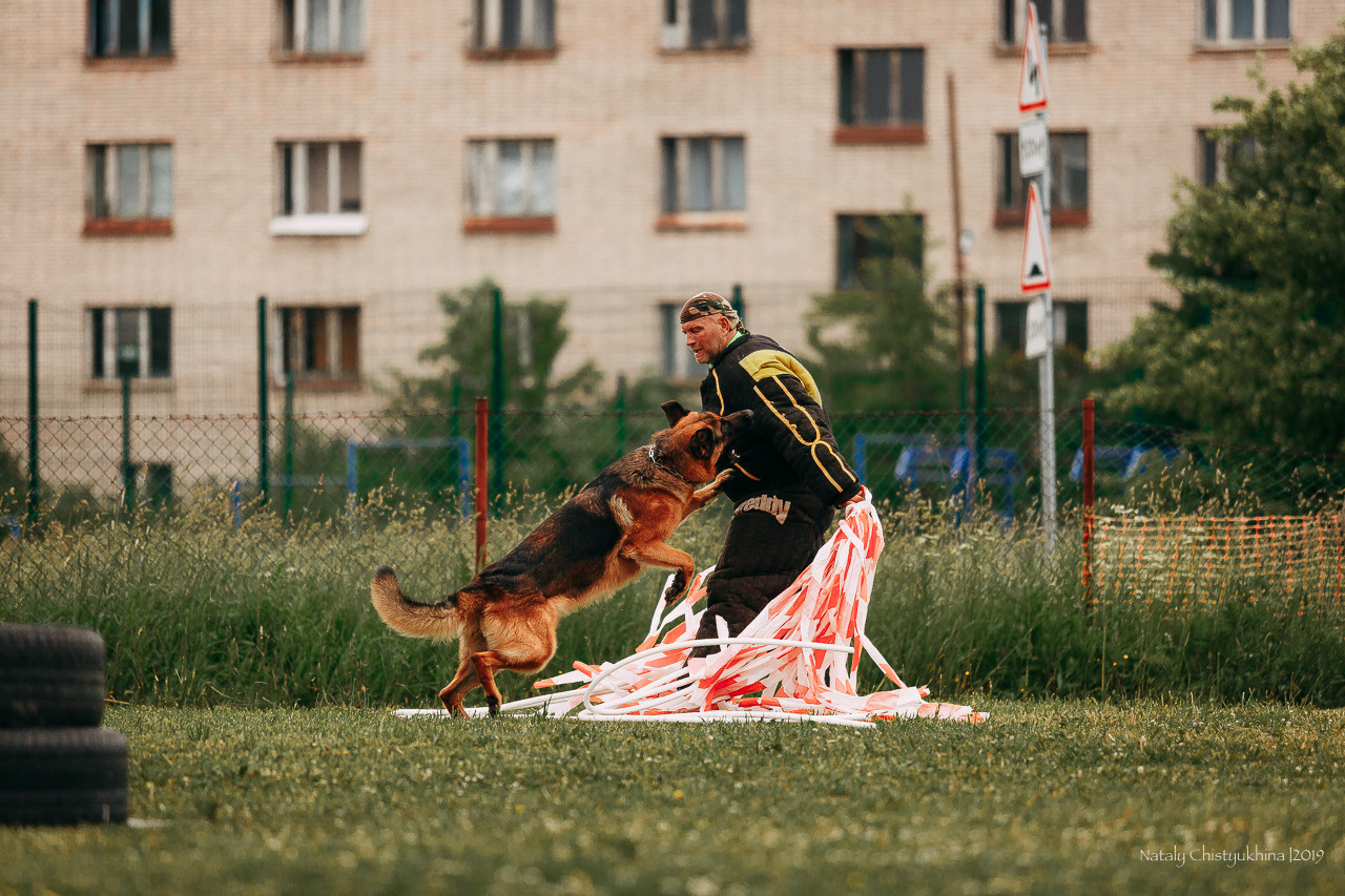 Соревнования БРР. Фотограф-анималист Наталия Чистюхина в г. Сосновый Бор и ЛО
