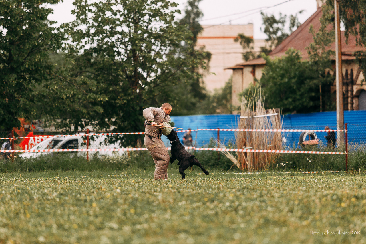 Соревнования БРР. Фотограф-анималист Наталия Чистюхина в г. Сосновый Бор и ЛО