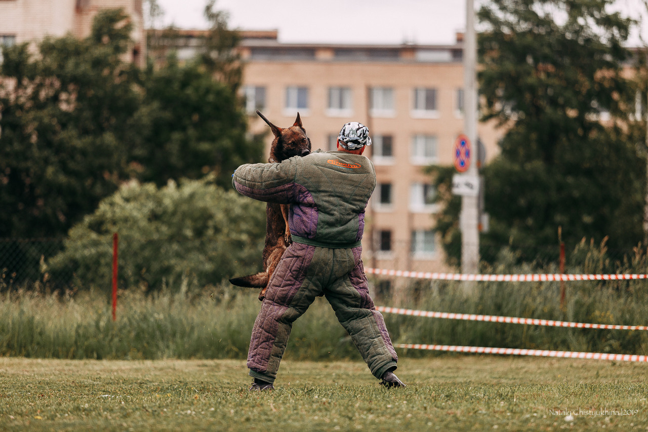Соревнования БРР. Фотограф-анималист Наталия Чистюхина в г. Сосновый Бор и ЛО