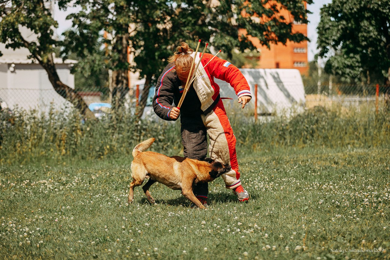 Соревнования по мондьорингу. Фотограф-анималист Наталия Чистюхина в г. Сосновый Бор и ЛО