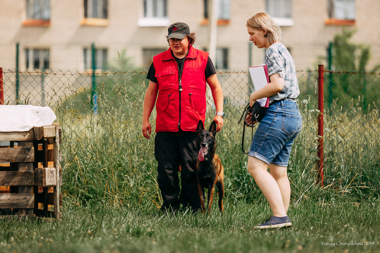 Соревнования по мондьорингу. Фотограф-анималист Наталия Чистюхина в г. Сосновый Бор и ЛО