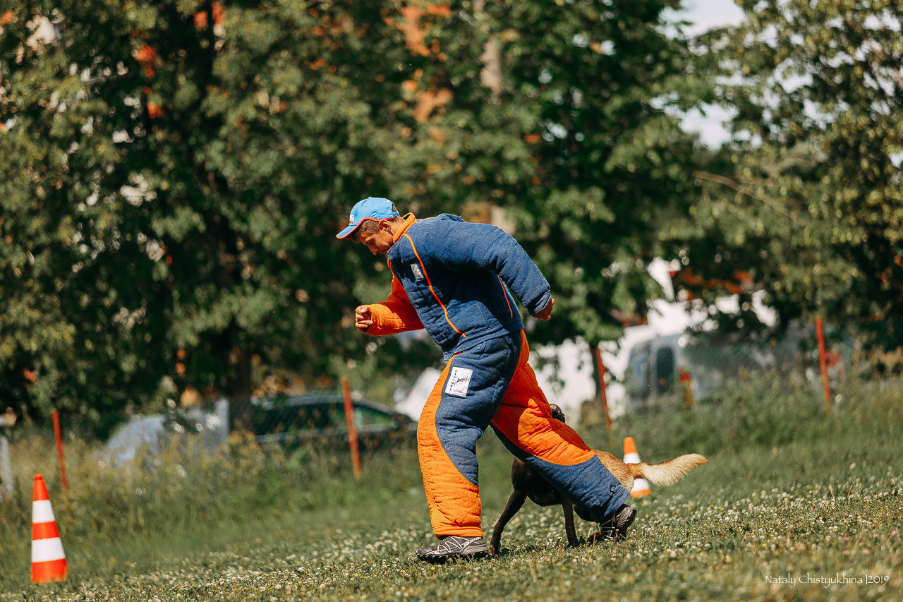 Соревнования по мондьорингу. Фотограф-анималист Наталия Чистюхина в г. Сосновый Бор и ЛО