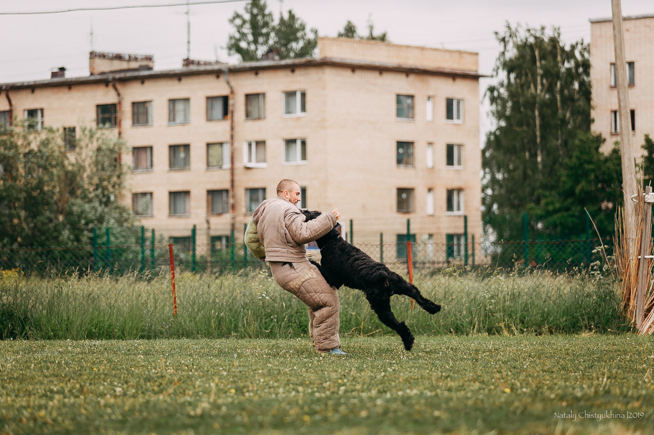 Соревнования БРР. Фотограф-анималист Наталия Чистюхина в г. Сосновый Бор и ЛО