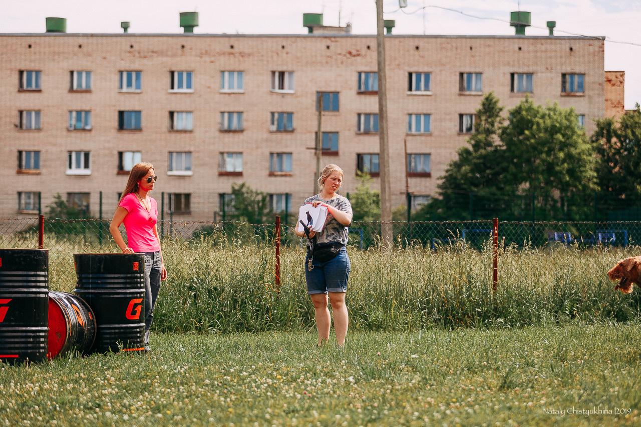 Соревнования по мондьорингу. Фотограф-анималист Наталия Чистюхина в г. Сосновый Бор и ЛО
