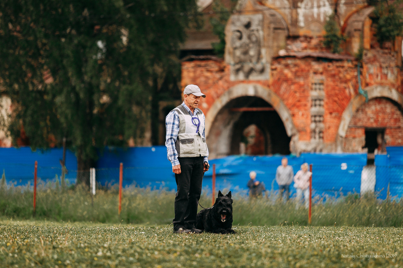 Соревнования БРР. Фотограф-анималист Наталия Чистюхина в г. Сосновый Бор и ЛО