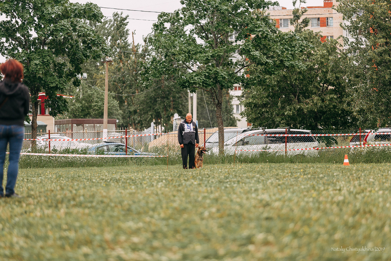 Соревнования БРР. Фотограф-анималист Наталия Чистюхина в г. Сосновый Бор и ЛО