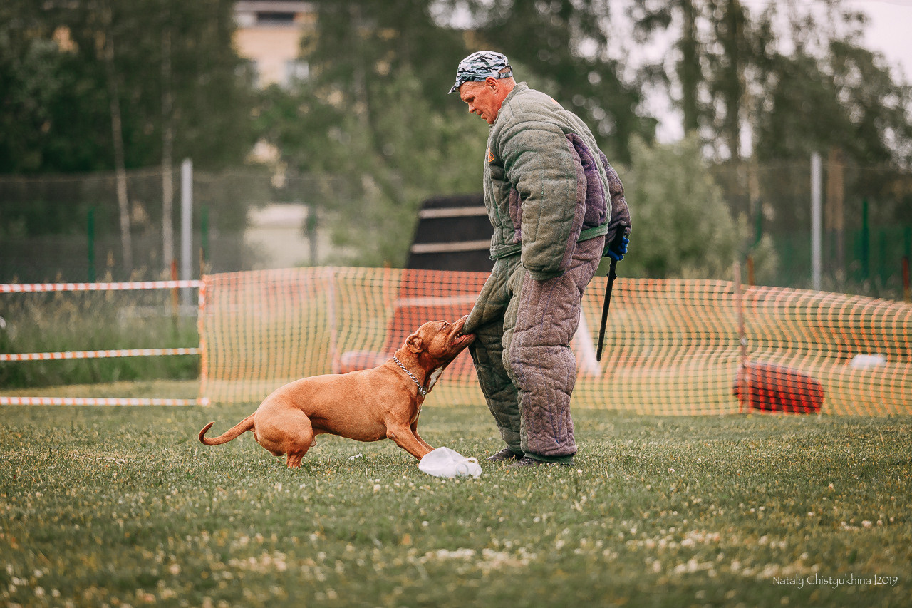 Соревнования БРР. Фотограф-анималист Наталия Чистюхина в г. Сосновый Бор и ЛО