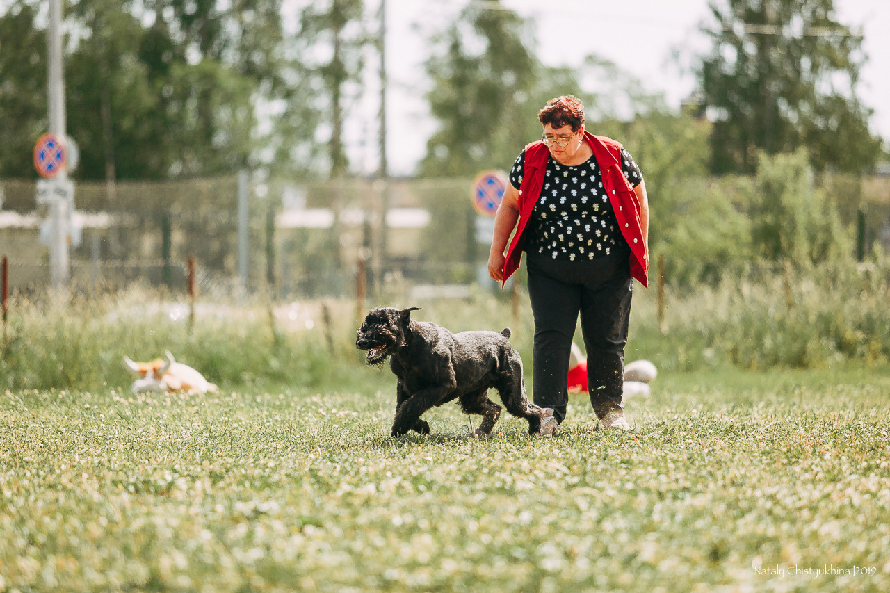 Соревнования по мондьорингу. Фотограф-анималист Наталия Чистюхина в г. Сосновый Бор и ЛО