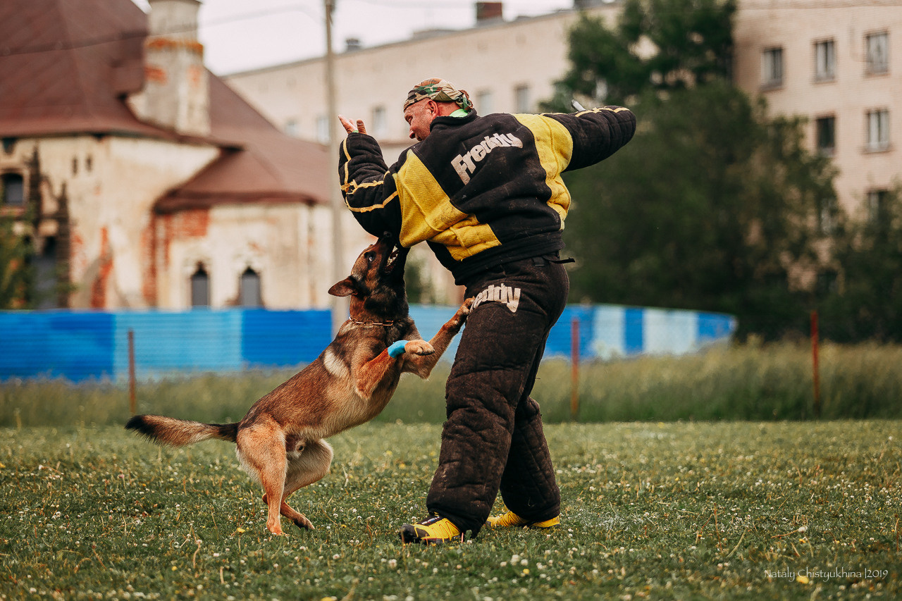 Соревнования БРР. Фотограф-анималист Наталия Чистюхина в г. Сосновый Бор и ЛО