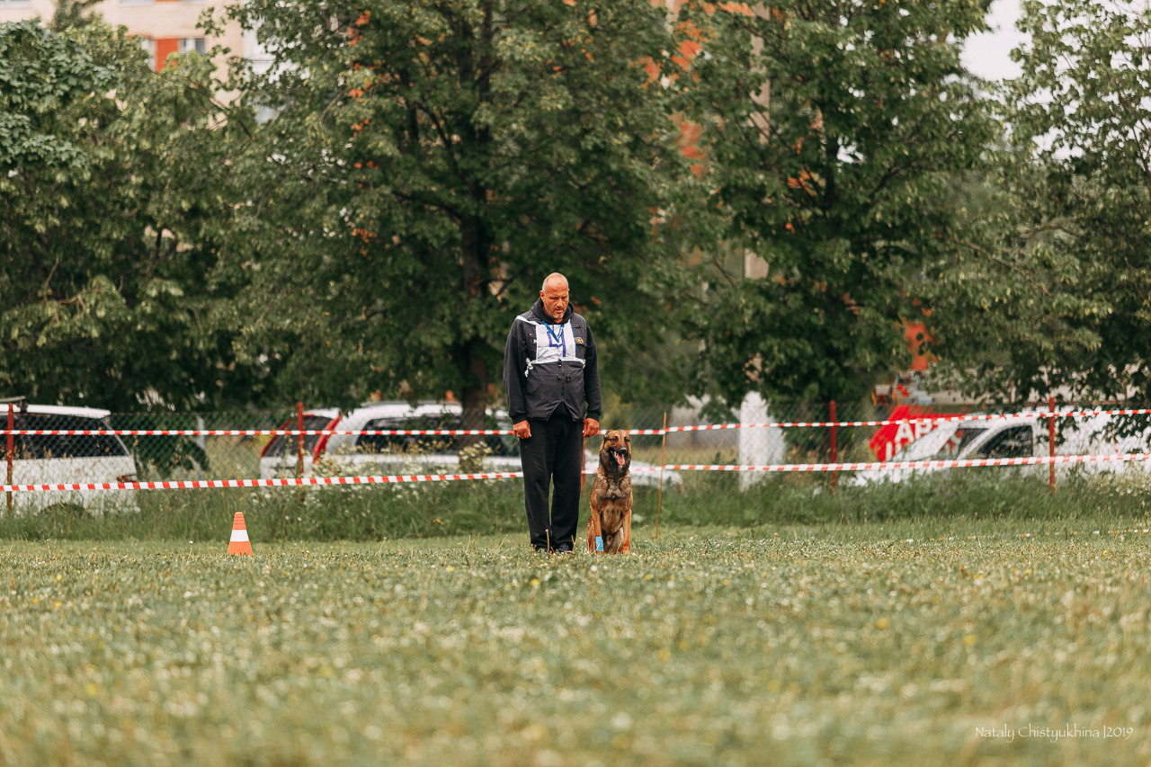 Соревнования БРР. Фотограф-анималист Наталия Чистюхина в г. Сосновый Бор и ЛО