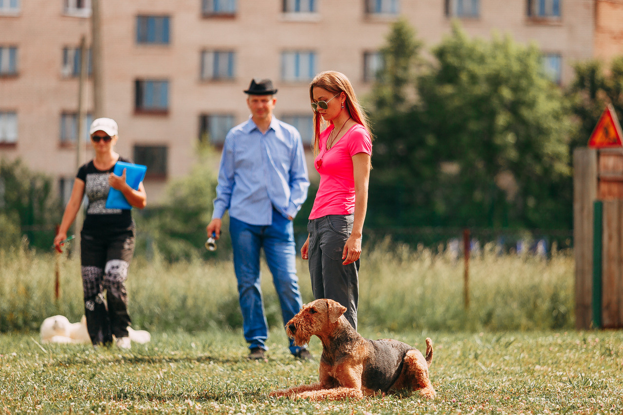 Соревнования по мондьорингу. Фотограф-анималист Наталия Чистюхина в г. Сосновый Бор и ЛО