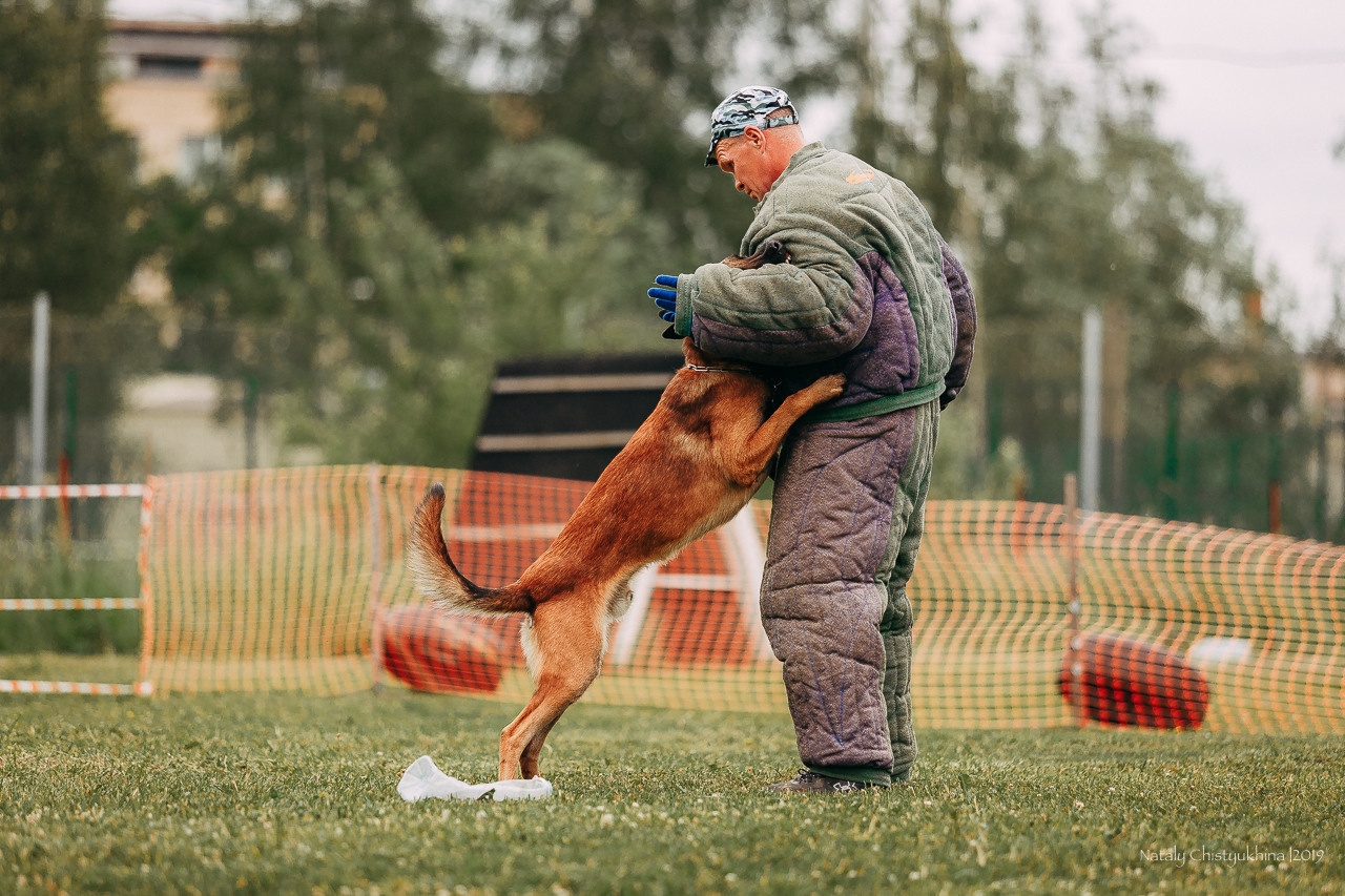 Соревнования БРР. Фотограф-анималист Наталия Чистюхина в г. Сосновый Бор и ЛО
