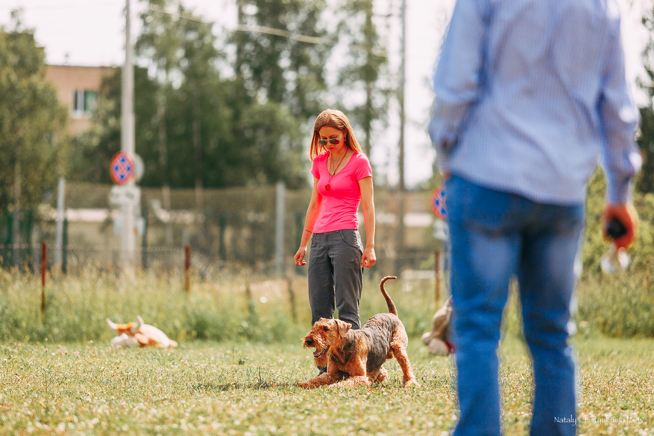 Соревнования по мондьорингу. Фотограф-анималист Наталия Чистюхина в г. Сосновый Бор и ЛО