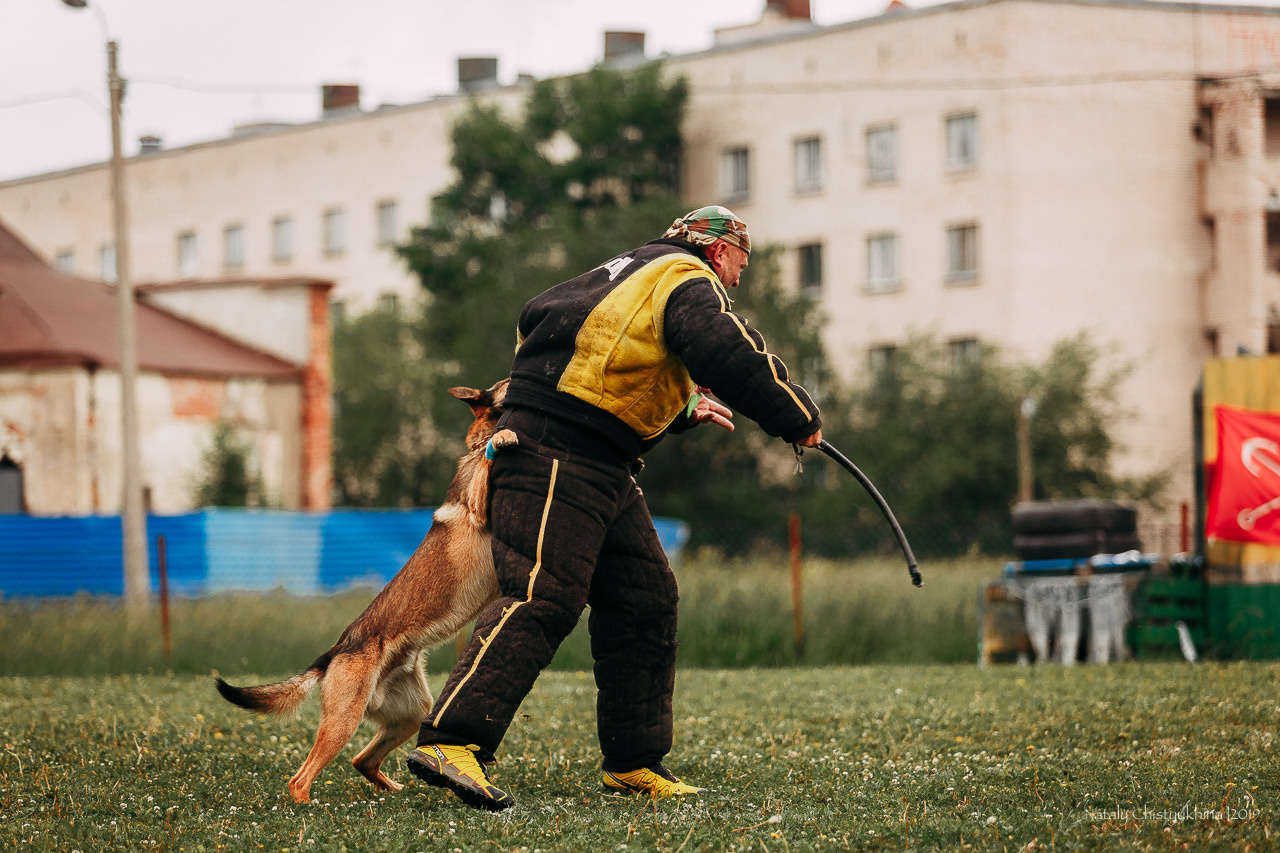 Соревнования БРР. Фотограф-анималист Наталия Чистюхина в г. Сосновый Бор и ЛО