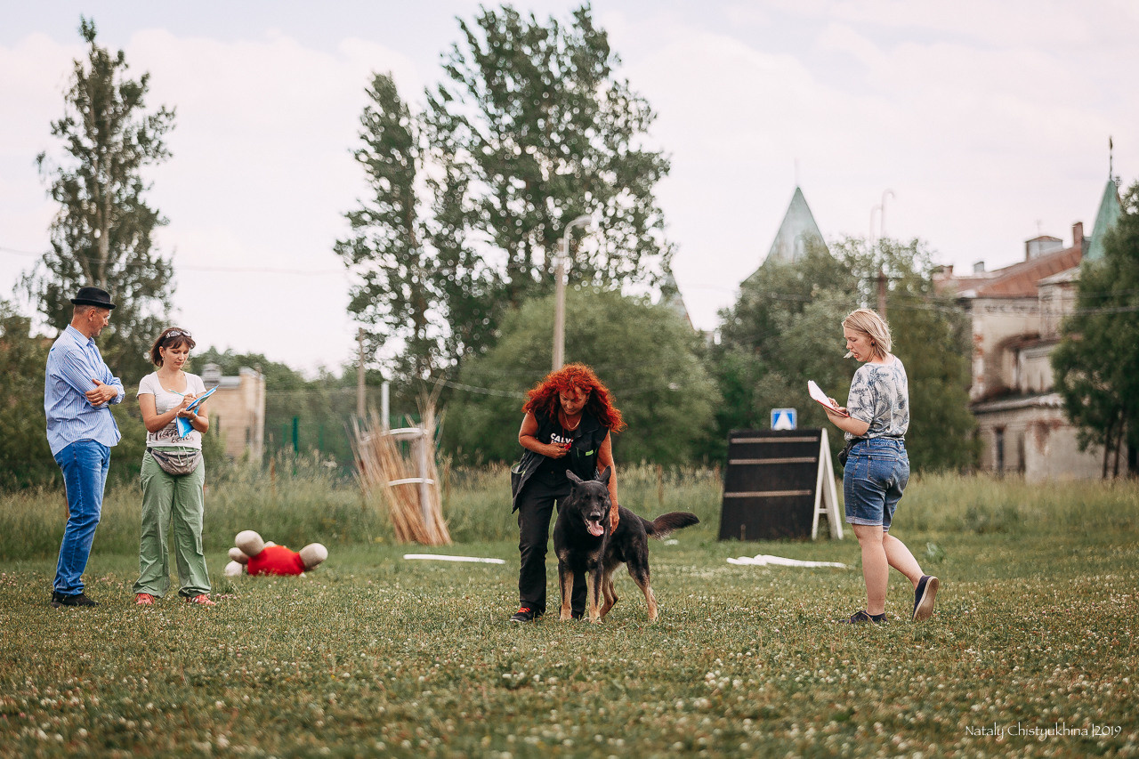 Соревнования по мондьорингу. Фотограф-анималист Наталия Чистюхина в г. Сосновый Бор и ЛО