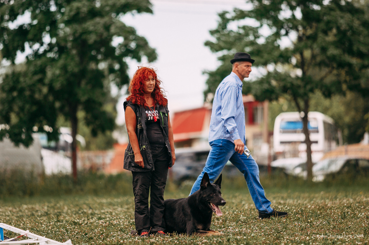 Соревнования по мондьорингу. Фотограф-анималист Наталия Чистюхина в г. Сосновый Бор и ЛО