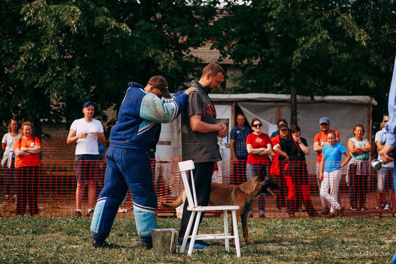 Соревнования по мондьорингу. Фотограф-анималист Наталия Чистюхина в г. Сосновый Бор и ЛО