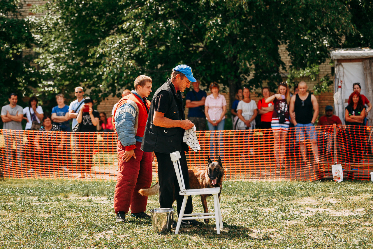 Соревнования по мондьорингу. Фотограф-анималист Наталия Чистюхина в г. Сосновый Бор и ЛО