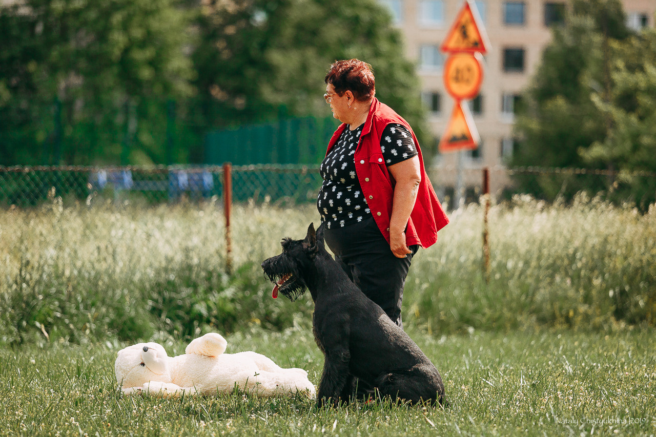 Соревнования по мондьорингу. Фотограф-анималист Наталия Чистюхина в г. Сосновый Бор и ЛО