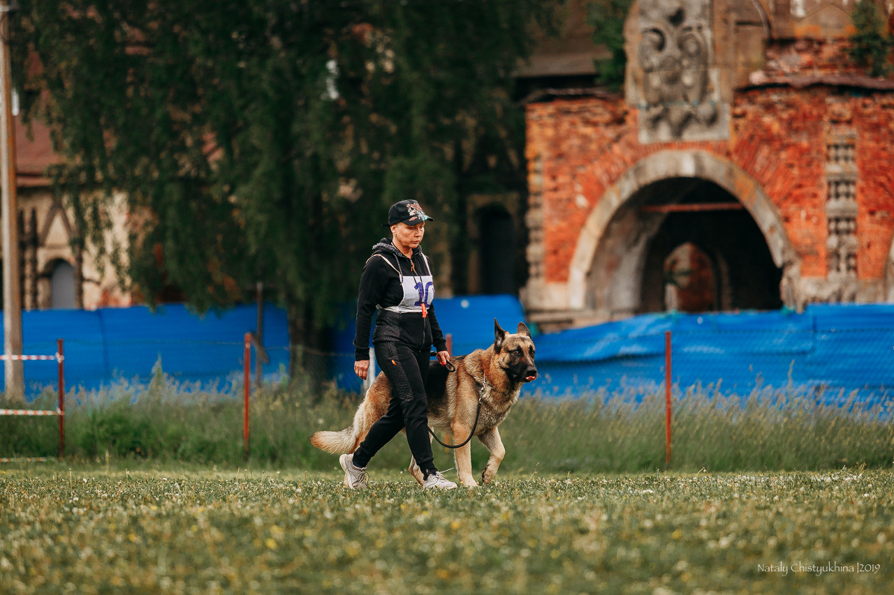 Соревнования БРР. Фотограф-анималист Наталия Чистюхина в г. Сосновый Бор и ЛО
