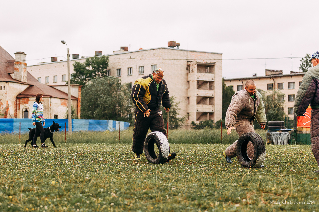 Соревнования БРР. Фотограф-анималист Наталия Чистюхина в г. Сосновый Бор и ЛО