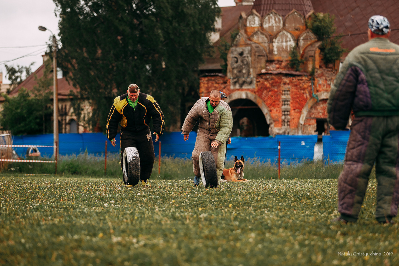 Соревнования БРР. Фотограф-анималист Наталия Чистюхина в г. Сосновый Бор и ЛО
