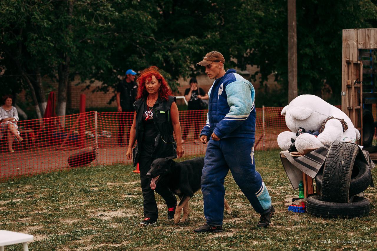 Соревнования по мондьорингу. Фотограф-анималист Наталия Чистюхина в г. Сосновый Бор и ЛО