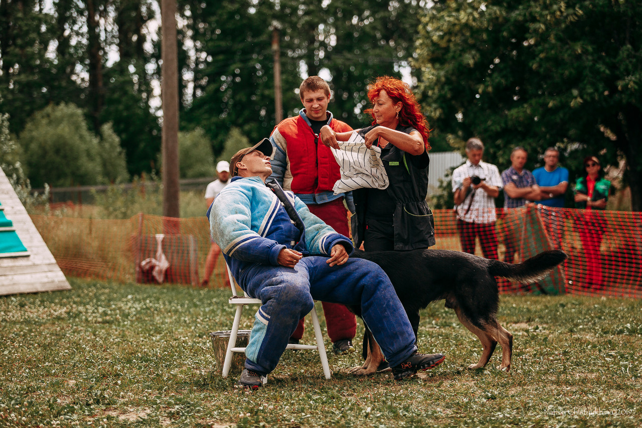 Соревнования по мондьорингу. Фотограф-анималист Наталия Чистюхина в г. Сосновый Бор и ЛО